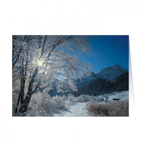 Winterland (5604)