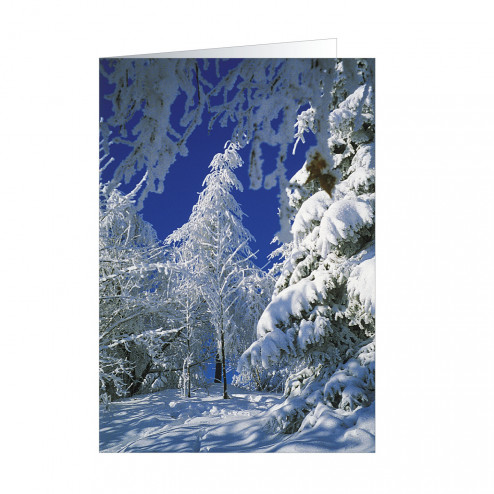 Winterland (5243)