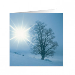 Snow Tree (5165)