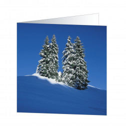 Snowtree (5164)